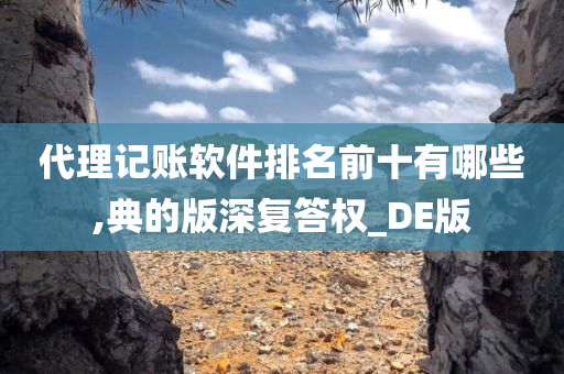 代理记账软件排名前十有哪些,典的版深复答权_DE版