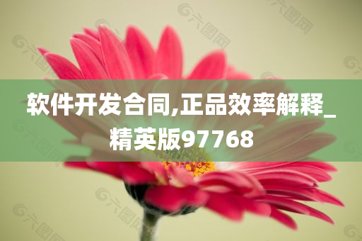 软件开发合同,正品效率解释_精英版97768