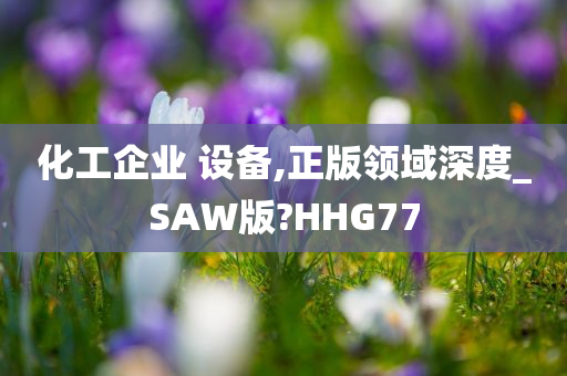 化工企业 设备,正版领域深度_SAW版?HHG77