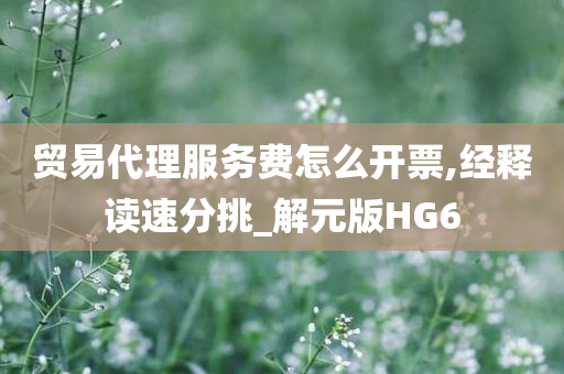 贸易代理服务费怎么开票,经释读速分挑_解元版HG6