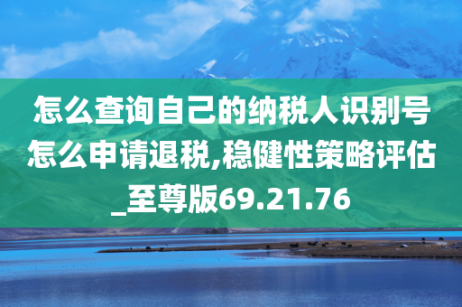 怎么查询自己的纳税人识别号怎么申请退税,稳健性策略评估_至尊版69.21.76