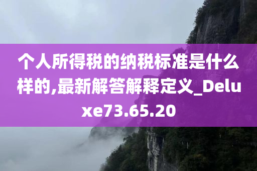 个人所得税的纳税标准是什么样的,最新解答解释定义_Deluxe73.65.20