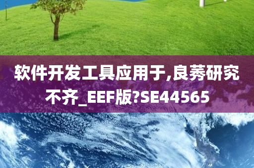 软件开发工具应用于,良莠研究不齐_EEF版?SE44565