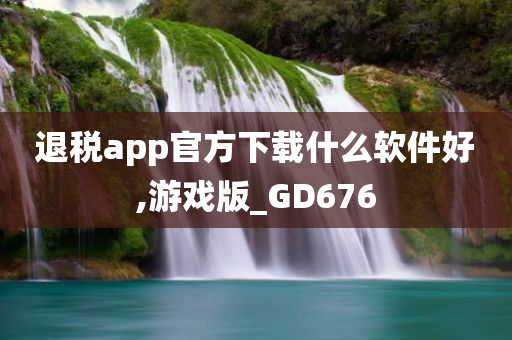 退税app官方下载什么软件好,游戏版_GD676