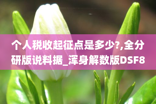 个人税收起征点是多少?,全分研版说料据_浑身解数版DSF8