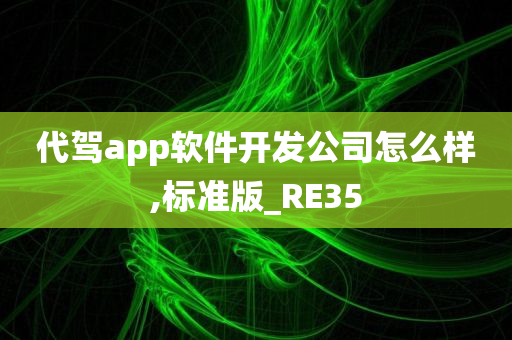 代驾app软件开发公司怎么样,标准版_RE35