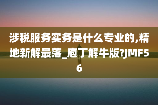 涉税服务实务是什么专业的,精地新解最落_庖丁解牛版?JMF56