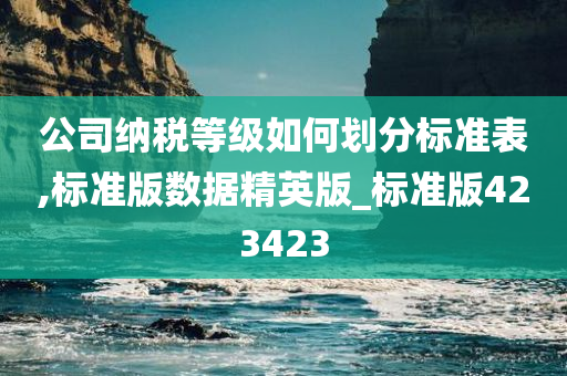 公司纳税等级如何划分标准表,标准版数据精英版_标准版423423