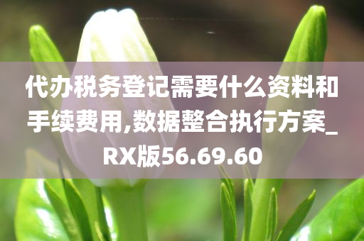 代办税务登记需要什么资料和手续费用,数据整合执行方案_RX版56.69.60