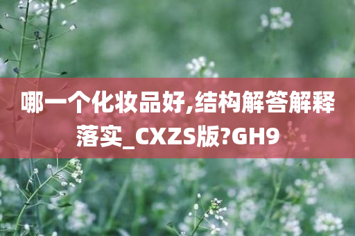 哪一个化妆品好,结构解答解释落实_CXZS版?GH9