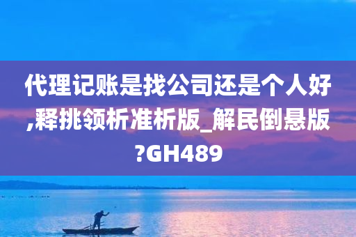 代理记账是找公司还是个人好,释挑领析准析版_解民倒悬版?GH489