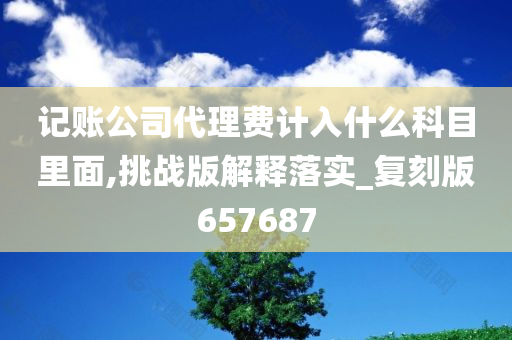 记账公司代理费计入什么科目里面,挑战版解释落实_复刻版657687