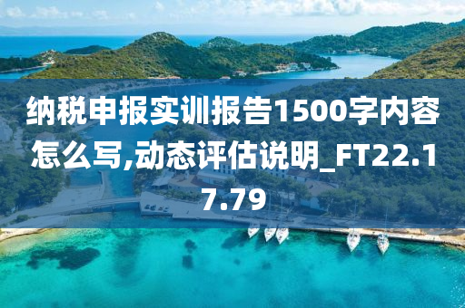 纳税申报实训报告1500字内容怎么写,动态评估说明_FT22.17.79