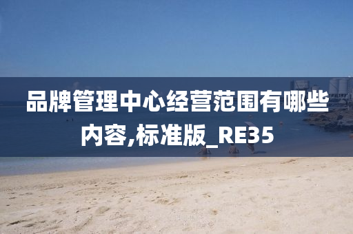 品牌管理中心经营范围有哪些内容,标准版_RE35