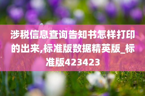 涉税信息查询告知书怎样打印的出来,标准版数据精英版_标准版423423