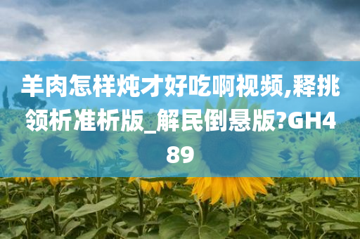 羊肉怎样炖才好吃啊视频,释挑领析准析版_解民倒悬版?GH489