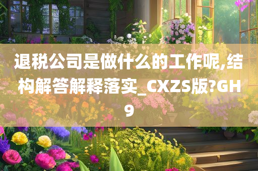 退税公司是做什么的工作呢,结构解答解释落实_CXZS版?GH9