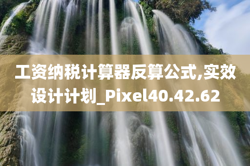 工资纳税计算器反算公式,实效设计计划_Pixel40.42.62