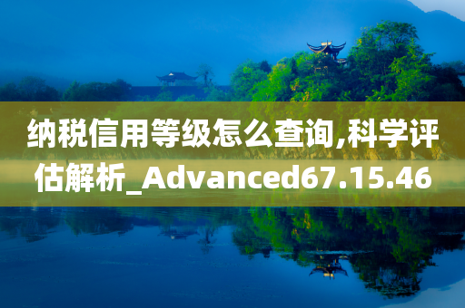 纳税信用等级怎么查询,科学评估解析_Advanced67.15.46