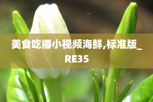 美食吃播小视频海鲜,标准版_RE35