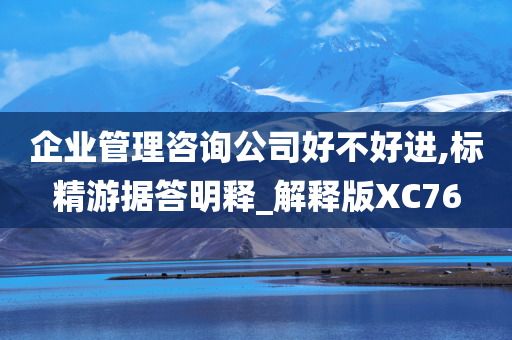 企业管理咨询公司好不好进,标精游据答明释_解释版XC76