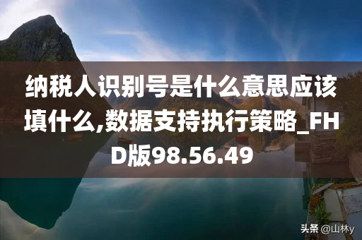 纳税人识别号是什么意思应该填什么,数据支持执行策略_FHD版98.56.49