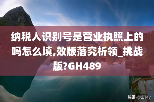 纳税人识别号是营业执照上的吗怎么填,效版落究析领_挑战版?GH489