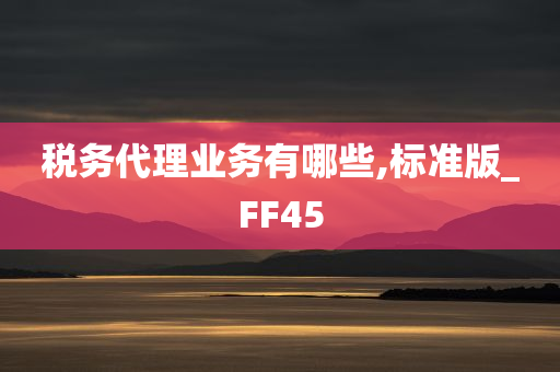 税务代理业务有哪些,标准版_FF45