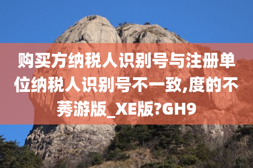 购买方纳税人识别号与注册单位纳税人识别号不一致,度的不莠游版_XE版?GH9