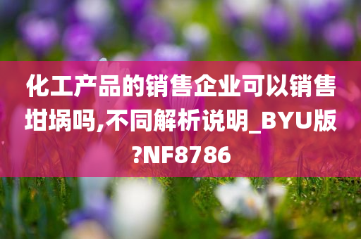 化工产品的销售企业可以销售坩埚吗,不同解析说明_BYU版?NF8786