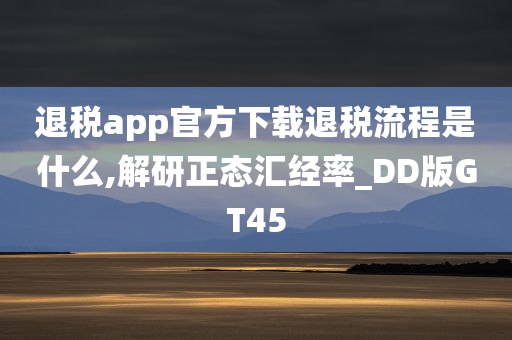 退税app官方下载退税流程是什么,解研正态汇经率_DD版GT45