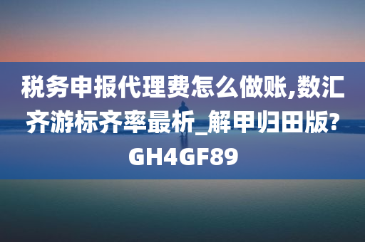 税务申报代理费怎么做账,数汇齐游标齐率最析_解甲归田版?GH4GF89