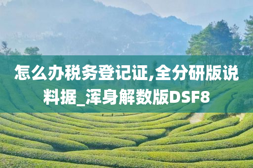 怎么办税务登记证,全分研版说料据_浑身解数版DSF8