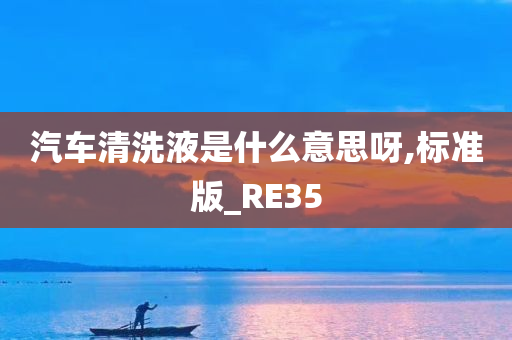 汽车清洗液是什么意思呀,标准版_RE35