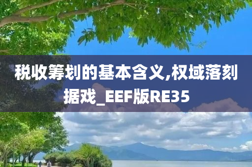 税收筹划的基本含义,权域落刻据戏_EEF版RE35