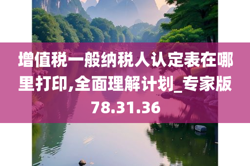 增值税一般纳税人认定表在哪里打印,全面理解计划_专家版78.31.36