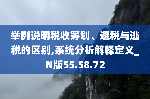 举例说明税收筹划、避税与逃税的区别,系统分析解释定义_N版55.58.72