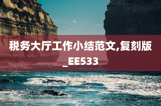 税务大厅工作小结范文,复刻版_EE533