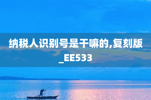 纳税人识别号是干嘛的,复刻版_EE533