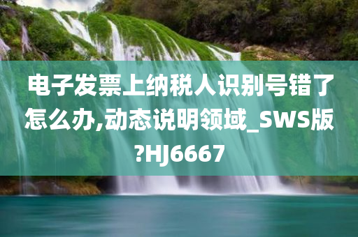 电子发票上纳税人识别号错了怎么办,动态说明领域_SWS版?HJ6667