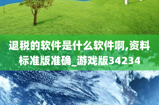 退税的软件是什么软件啊,资料标准版准确_游戏版34234