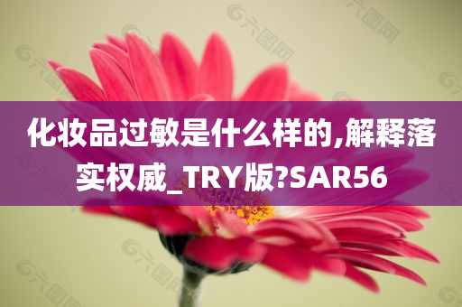 化妆品过敏是什么样的,解释落实权威_TRY版?SAR56