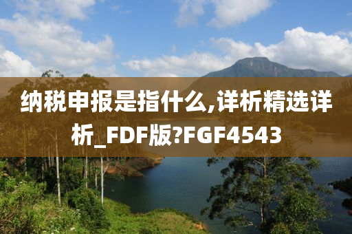 纳税申报是指什么,详析精选详析_FDF版?FGF4543