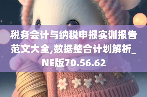 税务会计与纳税申报实训报告范文大全,数据整合计划解析_NE版70.56.62