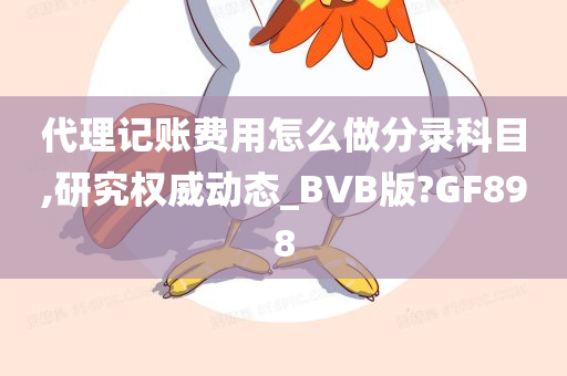 代理记账费用怎么做分录科目,研究权威动态_BVB版?GF898