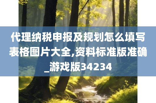 代理纳税申报及规划怎么填写表格图片大全,资料标准版准确_游戏版34234