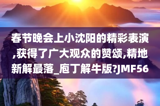 春节晚会上小沈阳的精彩表演,获得了广大观众的赞颂,精地新解最落_庖丁解牛版?JMF56