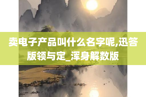 卖电子产品叫什么名字呢,迅答版领与定_浑身解数版