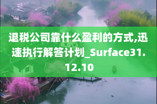 退税公司靠什么盈利的方式,迅速执行解答计划_Surface31.12.10