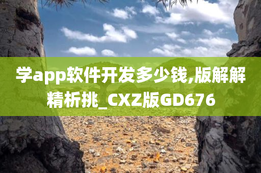 学app软件开发多少钱,版解解精析挑_CXZ版GD676